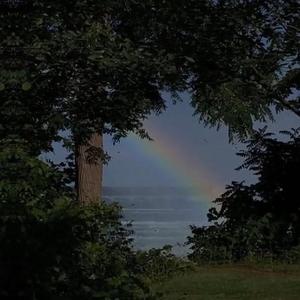 四川少妇bbbbbbbw
