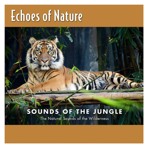 四川少妇bbbbbbbw
